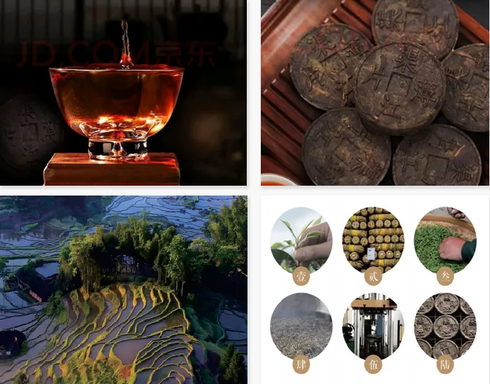 Hunan Qujiang Thin Slices Tea Industry Co., Ltd Product 1
