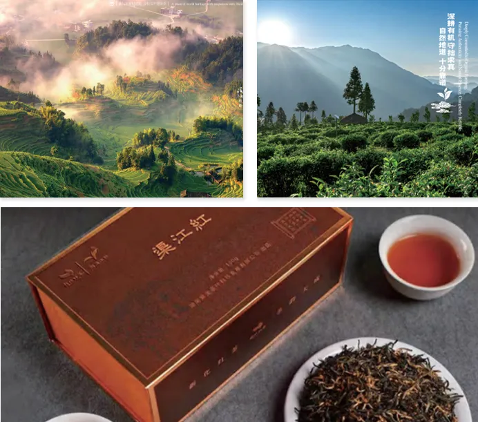 Hunan Zijin Tea Technology Development Co., Ltd Product 1