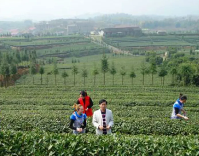 Xinhua County Tianpeng Ecological Park Development Co., Ltd Product 1