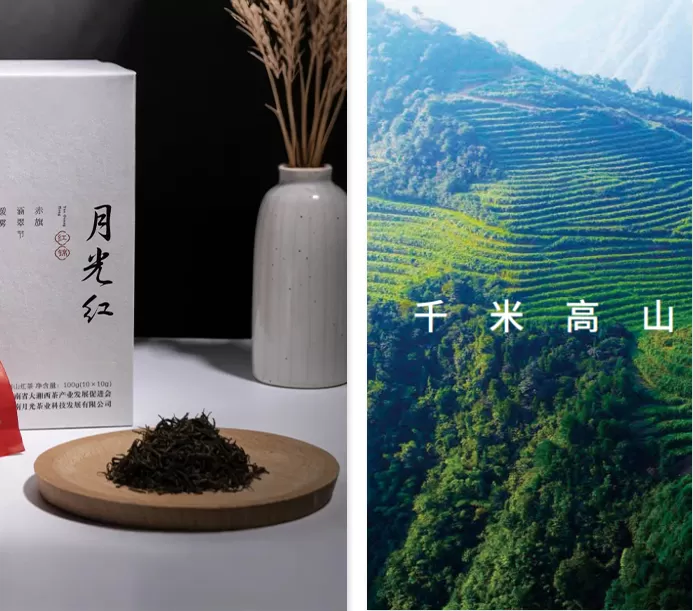 Hunan Moonlight Tea Industry Technology Development Co., Ltd Product 1